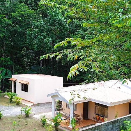 Alma Del Bosque Vacation Home And Apartments Quepos Zewnętrze zdjęcie
