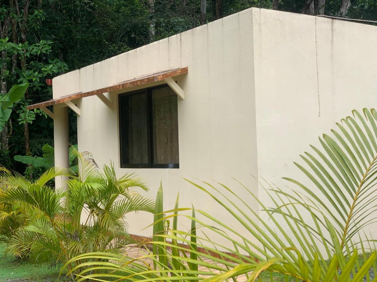 Alma Del Bosque Vacation Home And Apartments Quepos Zewnętrze zdjęcie