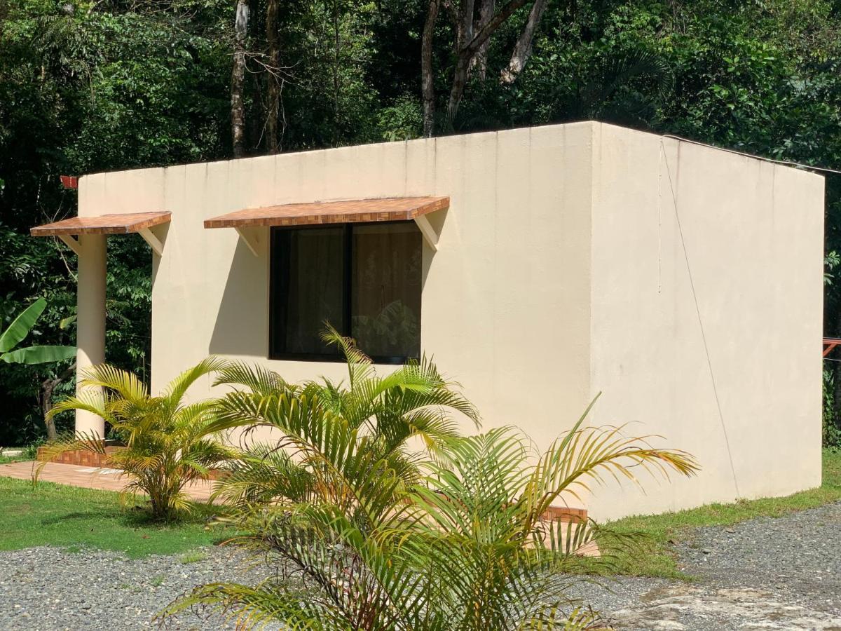 Alma Del Bosque Vacation Home And Apartments Quepos Zewnętrze zdjęcie