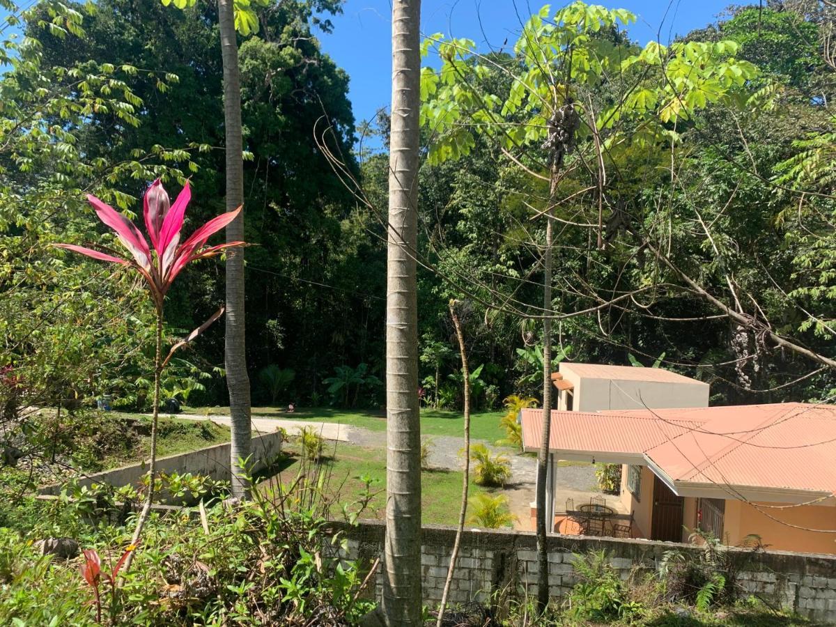 Alma Del Bosque Vacation Home And Apartments Quepos Zewnętrze zdjęcie